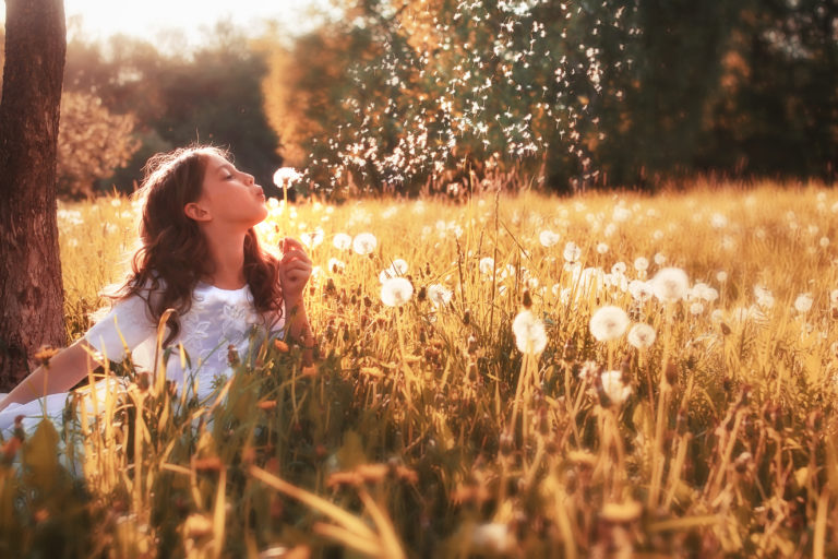 Young girl blowing dandelion seeds in a field in the spring.